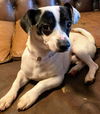 Buster