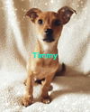 Timmy