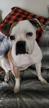 Lillian