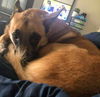 Charlie Dozer