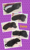 Looney Toons (Daisy Lou)