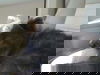 Jordan McLovin (male)