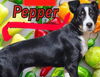 Pepper