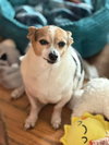 Sampson *FTA* - Photo 2