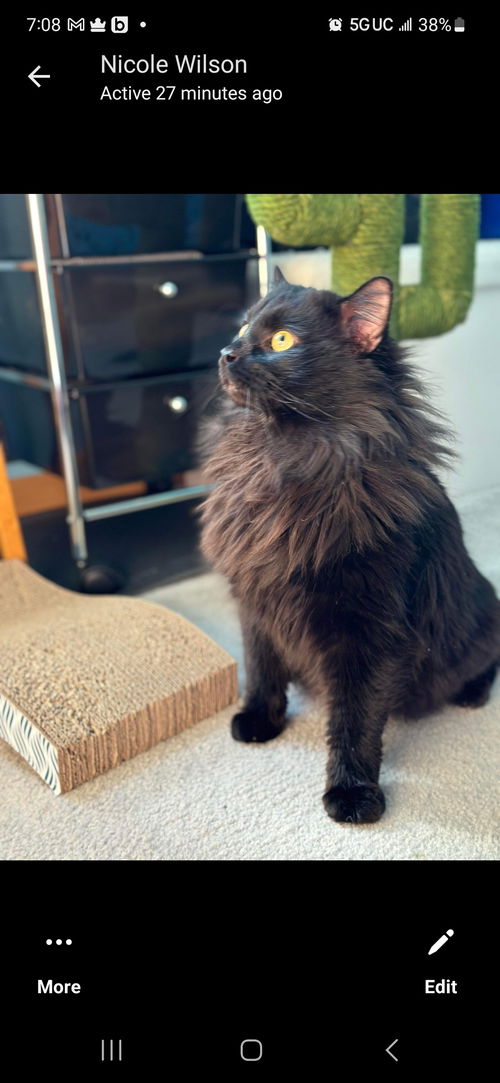 Samson