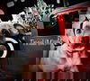 Holiday Crew - Tinsel