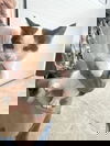 Checkers