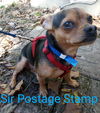 Sir Postage Stamp