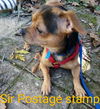 Sir Postage Stamp