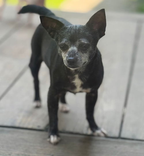 Gabby