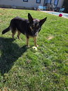 Davonna - Photo 3