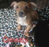 Dewey