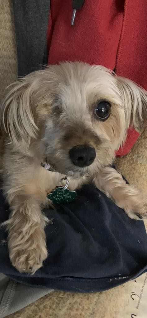Miss Lilly