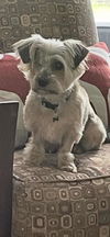Miss Lilly