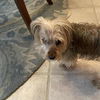 Miss Lilly