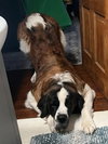 Hercules - Photo 1