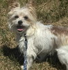 Biscuit - Photo 10