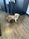 Emmit - Photo 3