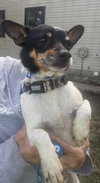 Charlie - Photo 5
