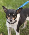 Charlie - Photo 3
