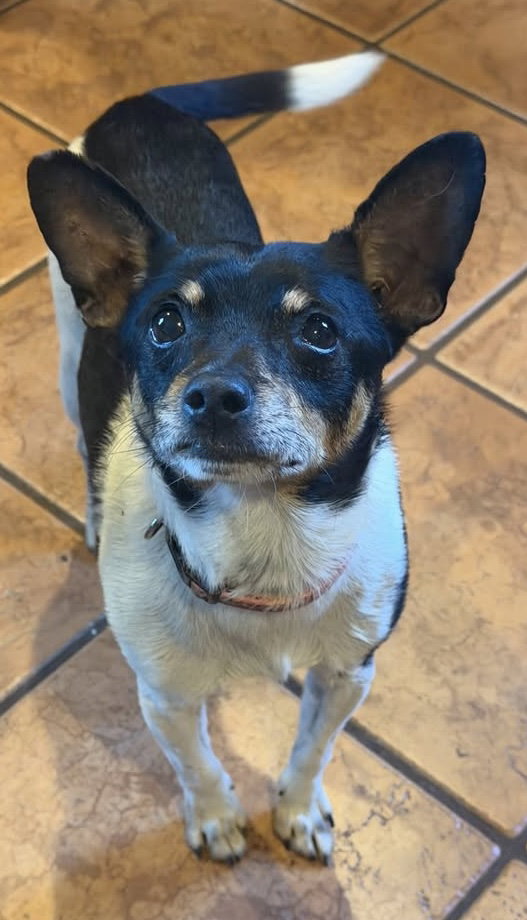 Charlie Image