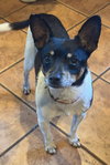 Charlie - Photo 2
