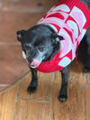 Ellie Christmas - Photo 6