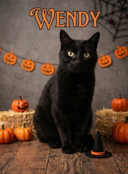 Wendy (Kitty)