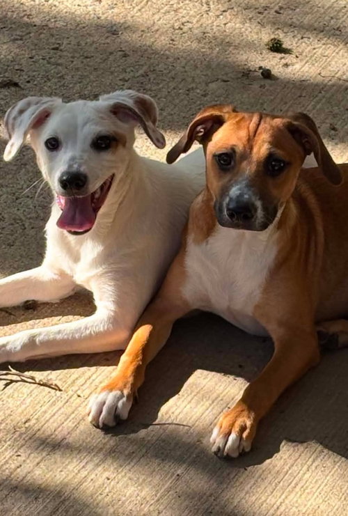 Eva photo 2