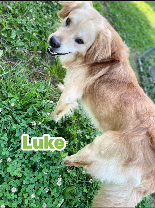Luke