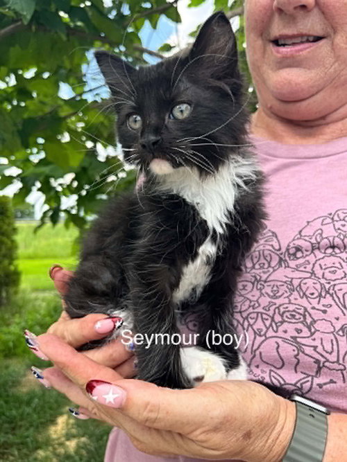 Seymour