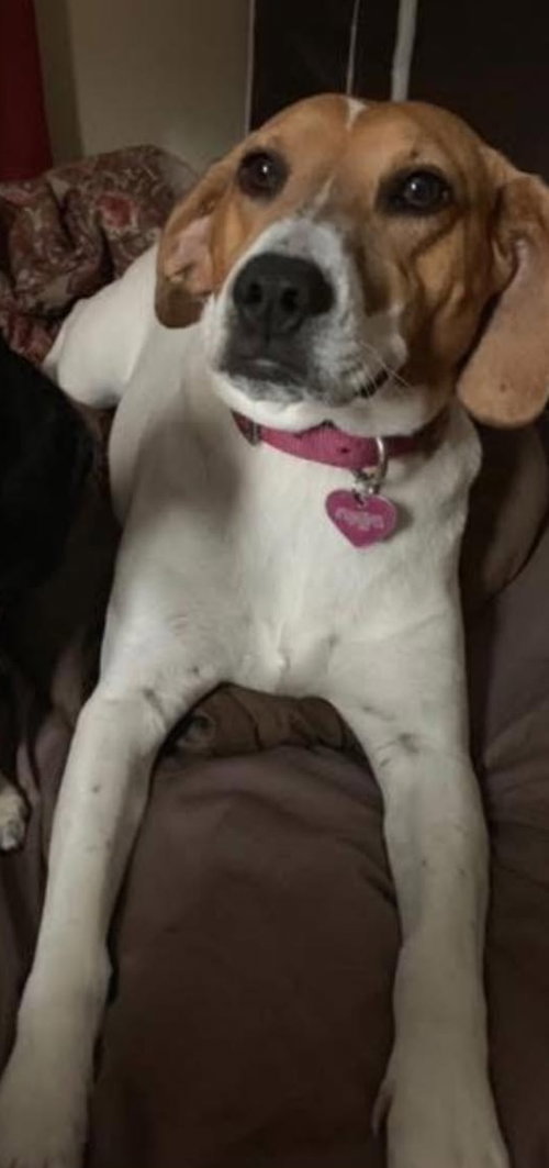 Photo 4 of Annie