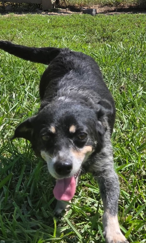 Photo 2 of Daisy
