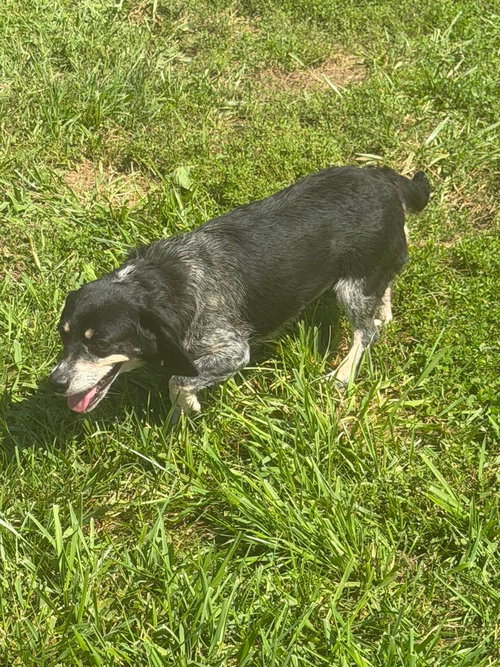Photo 6 of Daisy