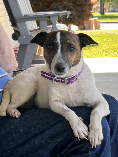 Sadie Mae photo 1