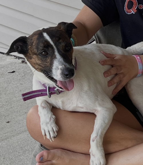 Sadie Mae photo 2