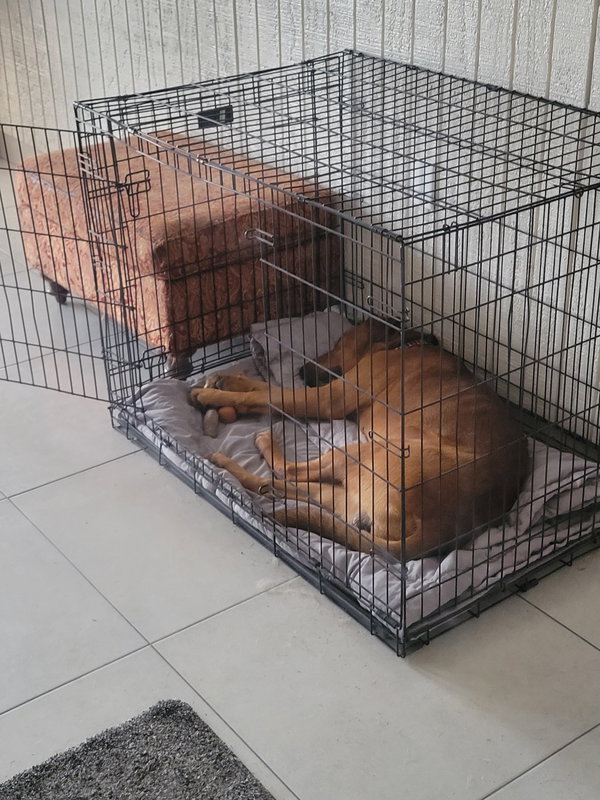 Max