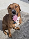 Max - Photo 3