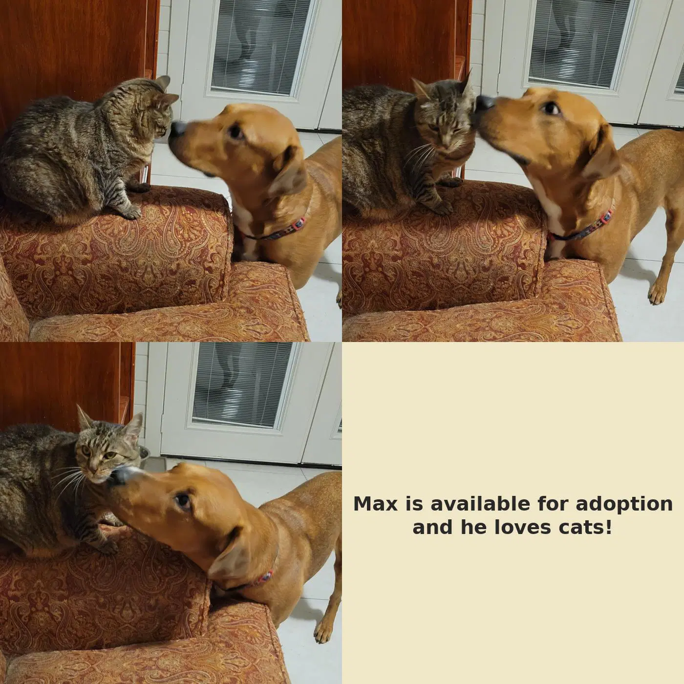 Max image 2