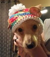 Jellybean