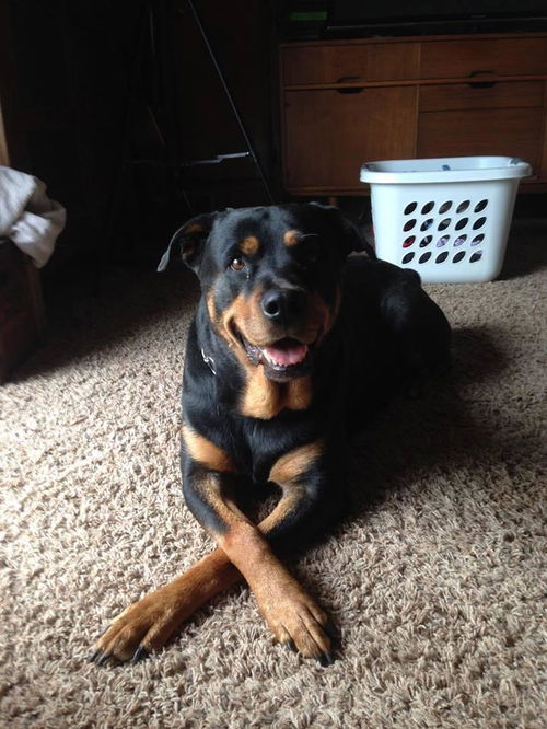 Sadie