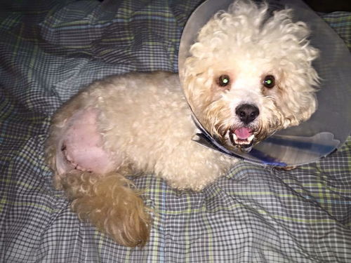 Einstein