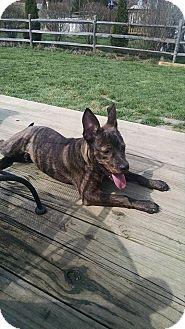 Opie