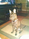 Opie