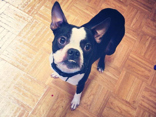 Jack