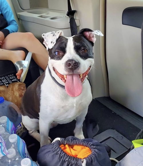 Ellie Lulu