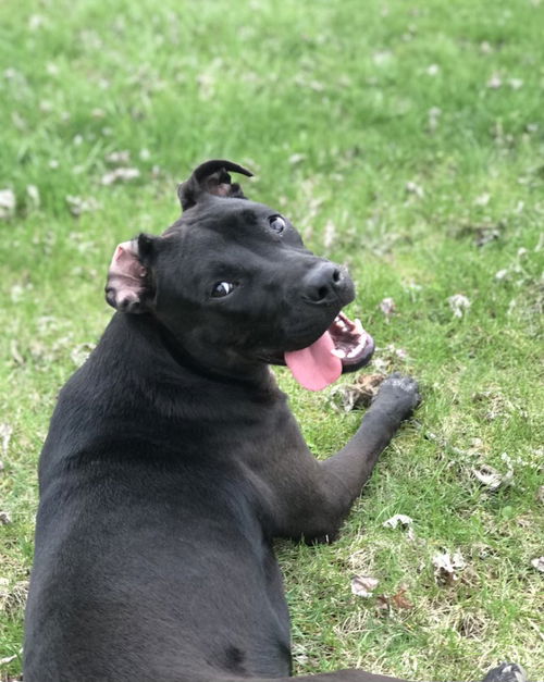 Von