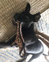 Von