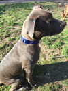 Kepler