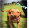 Smiley